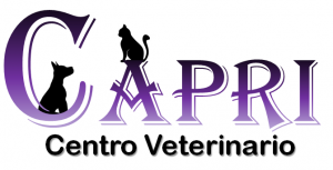 Clínica Veterinaria Capri
